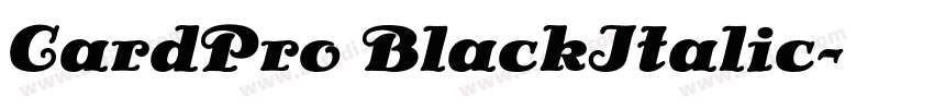 CardPro BlackItalic字体转换